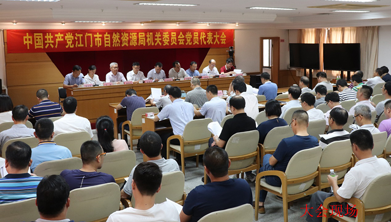 190702中共SG飞艇(中国)开奖记录查询站自然资源局机关委员会党员代表大会顺利召开 (1).jpg